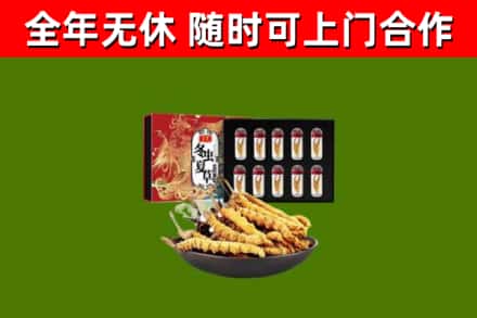 全南回收冬虫夏草价格